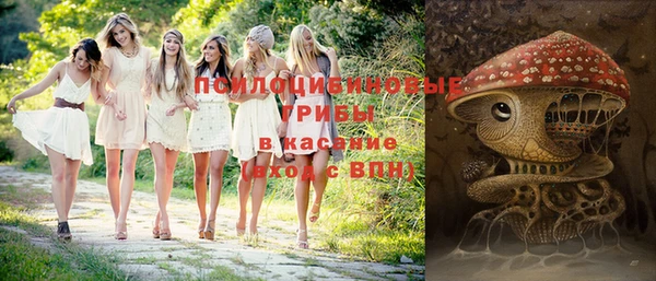 хмурый Алзамай