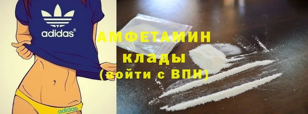 хмурый Алзамай