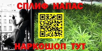 apvp Славгород