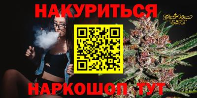 apvp Славгород