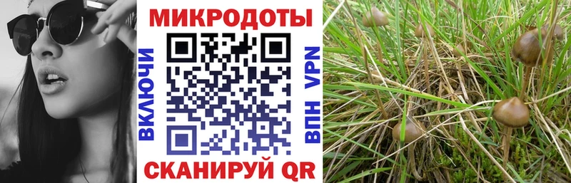 Галлюциногенные грибы мухоморы Урай