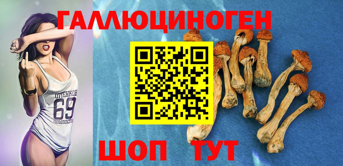 Урай  Псилоцибиновые грибы мухоморы  Вход с VPN  Псилоцибиновые грибы прущие грибы 