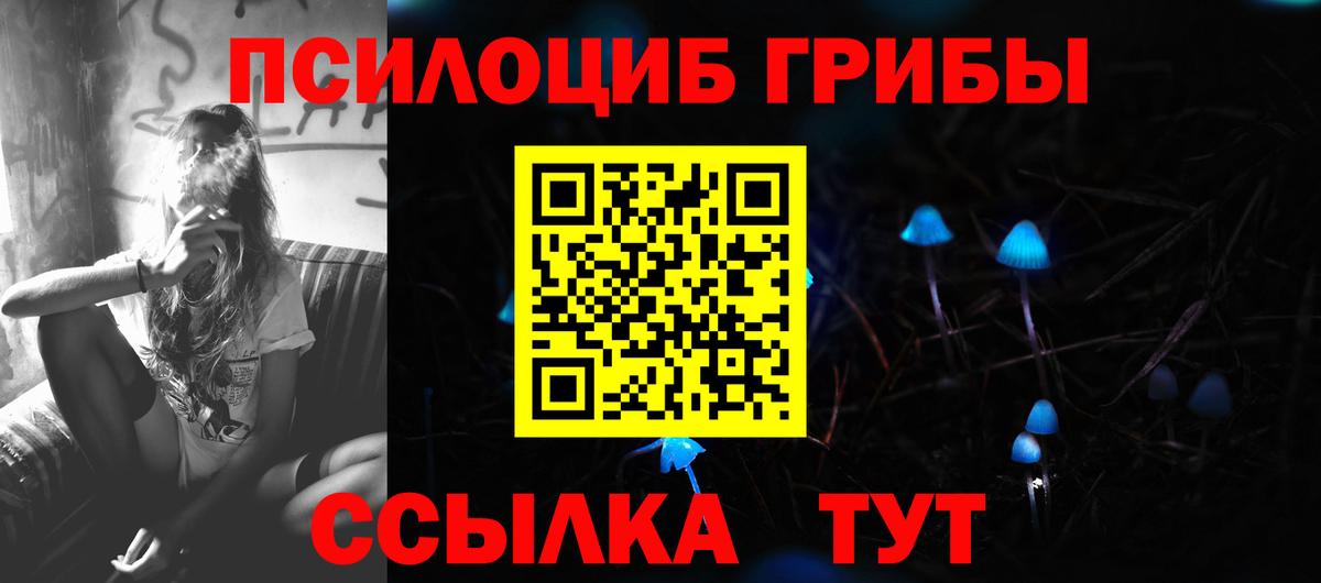 Галлюциногенные грибы прущие грибы Урай